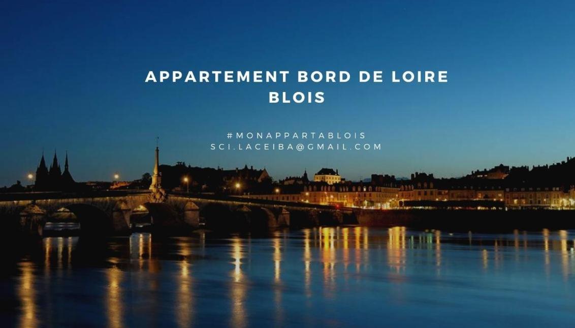 Duplex 60 M2 Bord De Loire Apartment บลัวส์ ภายนอก รูปภาพ