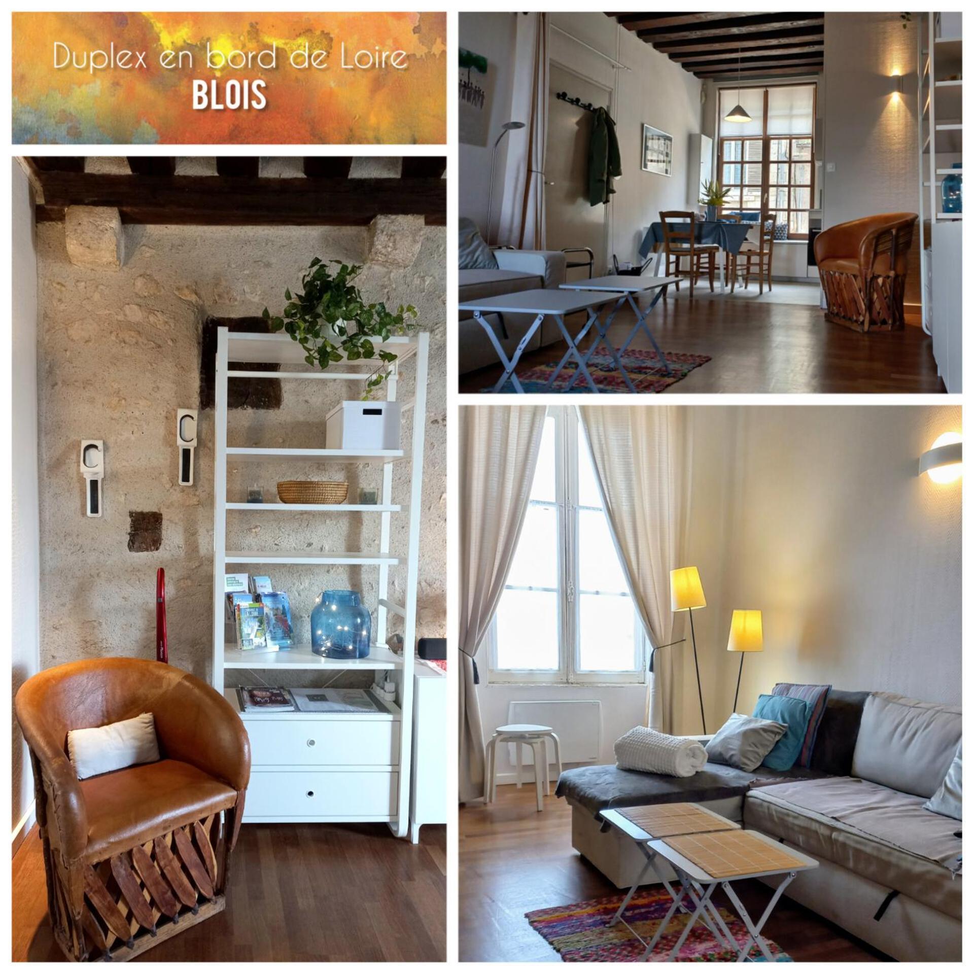 Duplex 60 M2 Bord De Loire Apartment บลัวส์ ภายนอก รูปภาพ